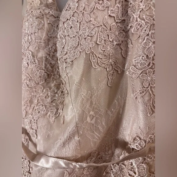 New Chiffon and Lace Evening Gown - Picture 5 of 11